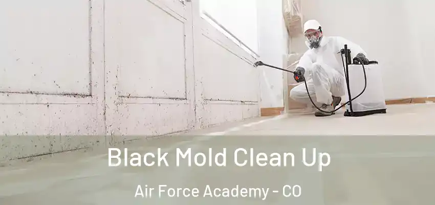  Black Mold Clean Up Air Force Academy - CO