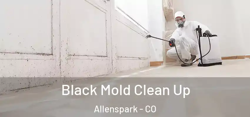  Black Mold Clean Up Allenspark - CO