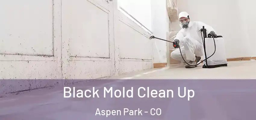  Black Mold Clean Up Aspen Park - CO
