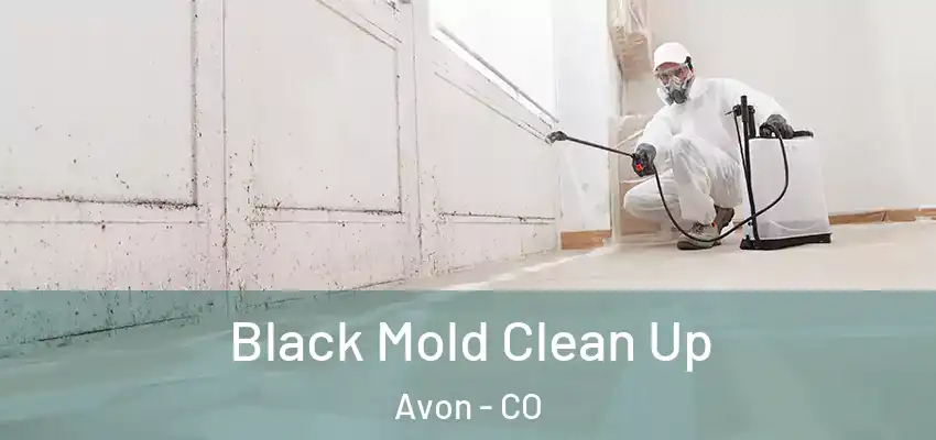 Black Mold Clean Up Avon - CO