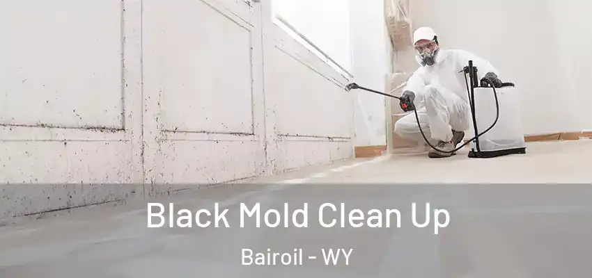  Black Mold Clean Up Bairoil - WY