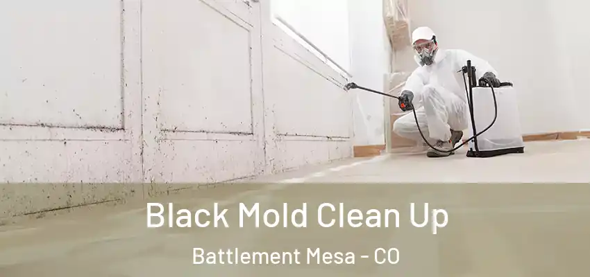  Black Mold Clean Up Battlement Mesa - CO