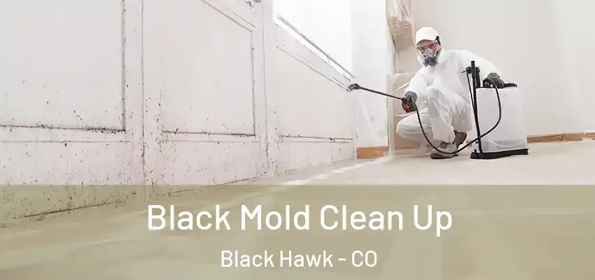 Black Mold Clean Up Black Hawk - CO