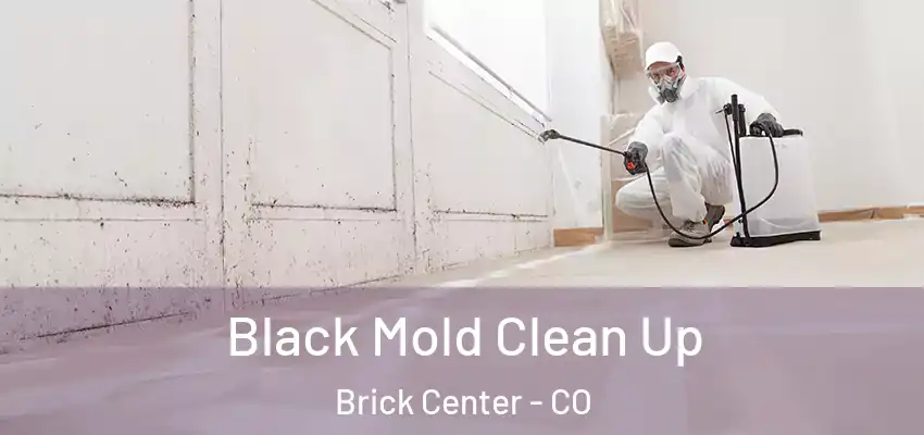  Black Mold Clean Up Brick Center - CO