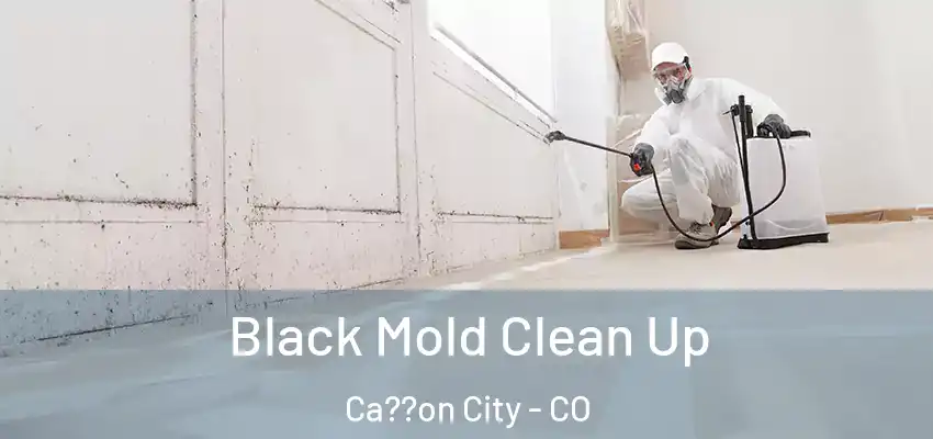  Black Mold Clean Up Ca??on City - CO