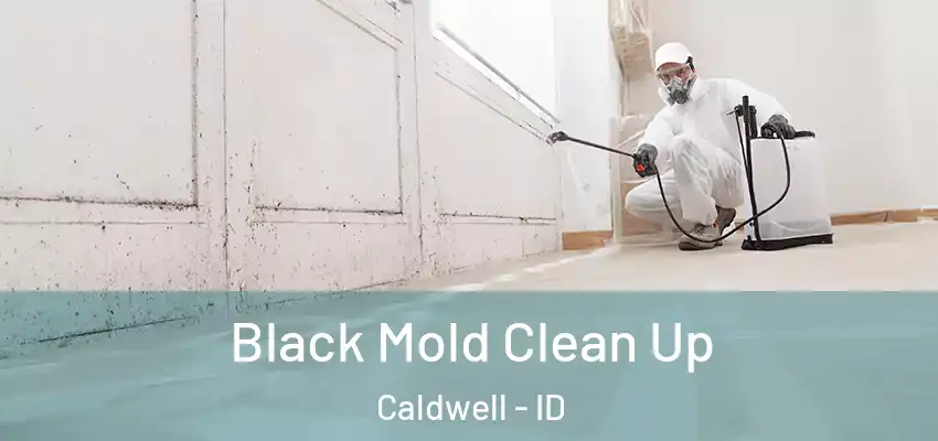  Black Mold Clean Up Caldwell - ID