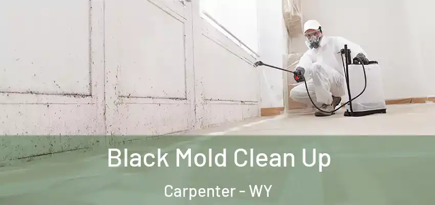 Black Mold Clean Up Carpenter - WY