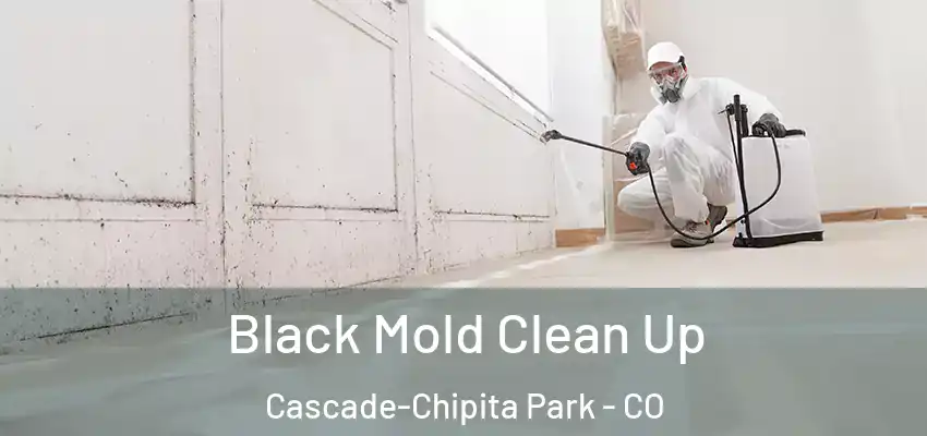  Black Mold Clean Up Cascade-Chipita Park - CO