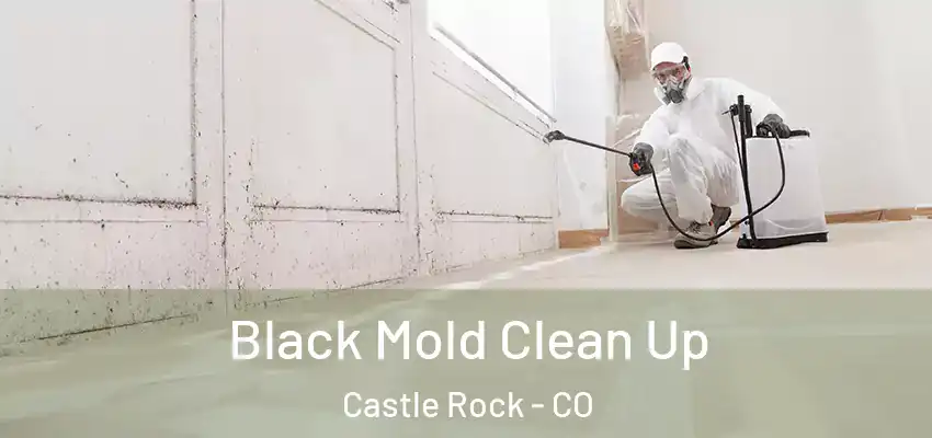  Black Mold Clean Up Castle Rock - CO
