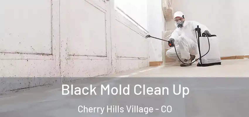 Black Mold Clean Up Cherry Hills Village - CO