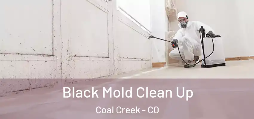 Black Mold Clean Up Coal Creek - CO