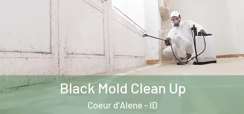  Black Mold Clean Up Coeur d'Alene - ID