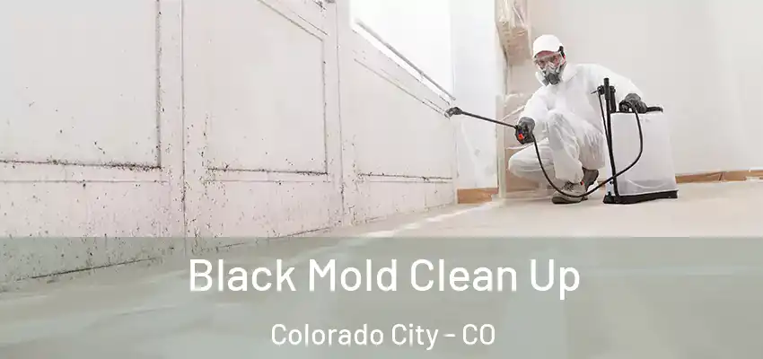 Black Mold Clean Up Colorado City - CO