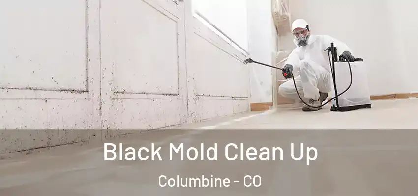 Black Mold Clean Up Columbine - CO