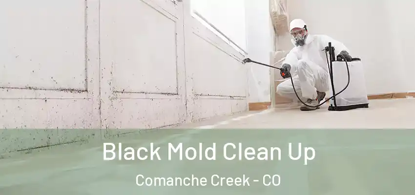  Black Mold Clean Up Comanche Creek - CO