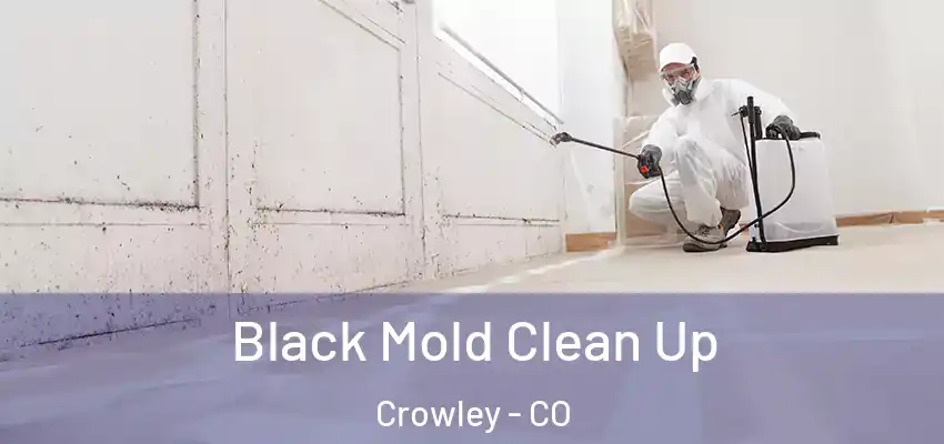 Black Mold Clean Up Crowley - CO