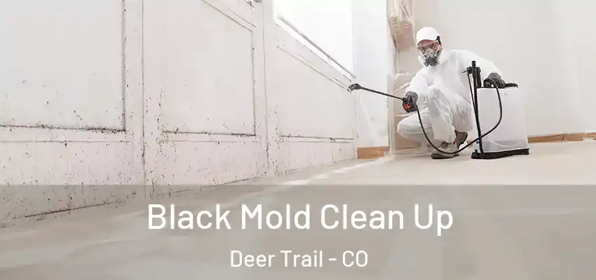  Black Mold Clean Up Deer Trail - CO