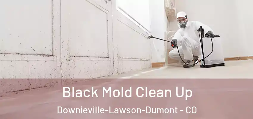  Black Mold Clean Up Downieville-Lawson-Dumont - CO
