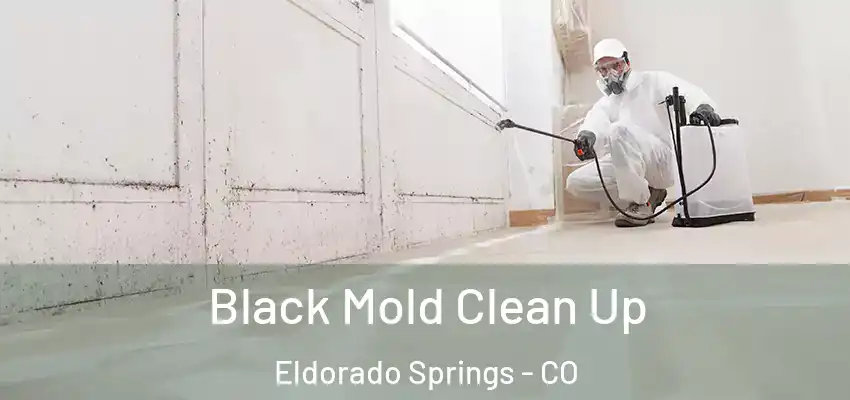  Black Mold Clean Up Eldorado Springs - CO