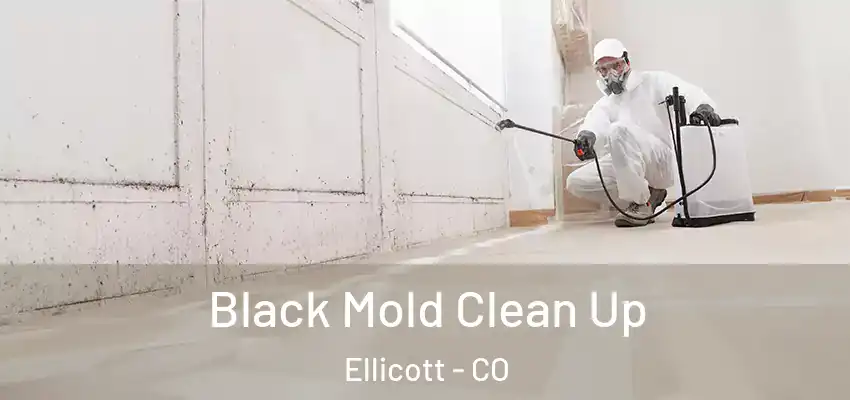  Black Mold Clean Up Ellicott - CO