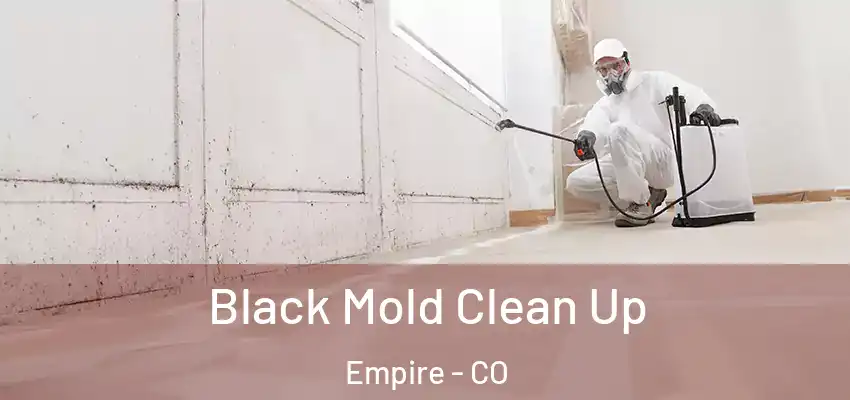 Black Mold Clean Up Empire - CO