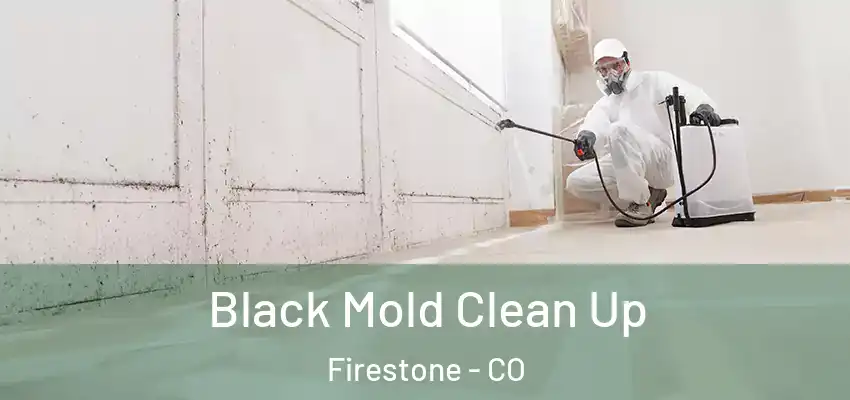  Black Mold Clean Up Firestone - CO