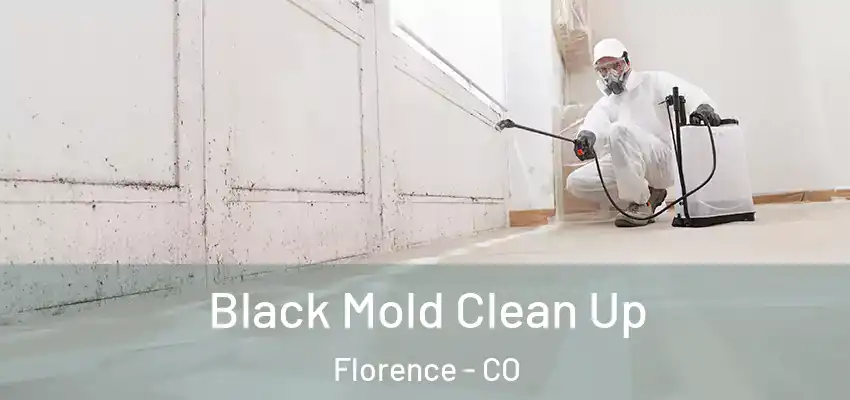 Black Mold Clean Up Florence - CO