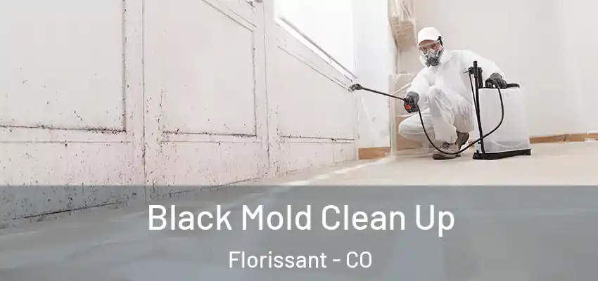  Black Mold Clean Up Florissant - CO