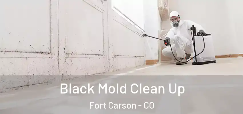 Black Mold Clean Up Fort Carson - CO