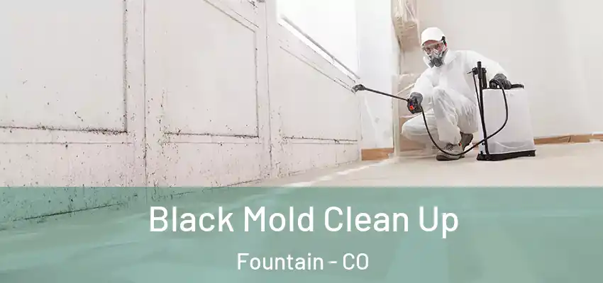  Black Mold Clean Up Fountain - CO