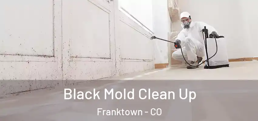 Black Mold Clean Up Franktown - CO