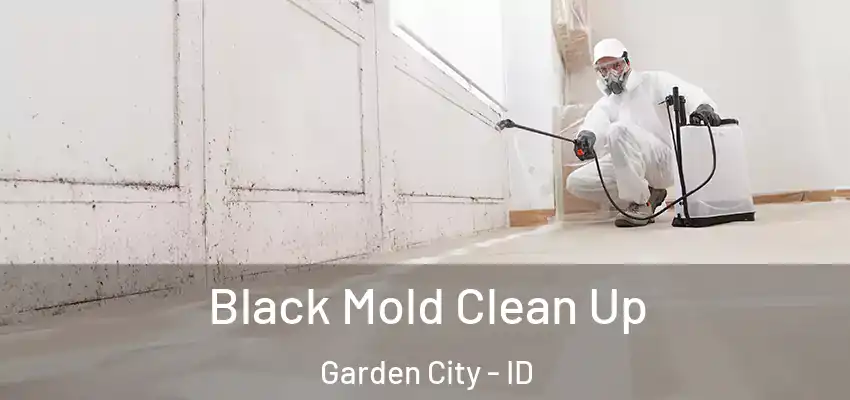 Black Mold Clean Up Garden City - ID