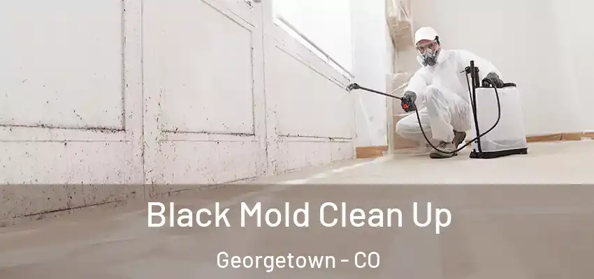  Black Mold Clean Up Georgetown - CO