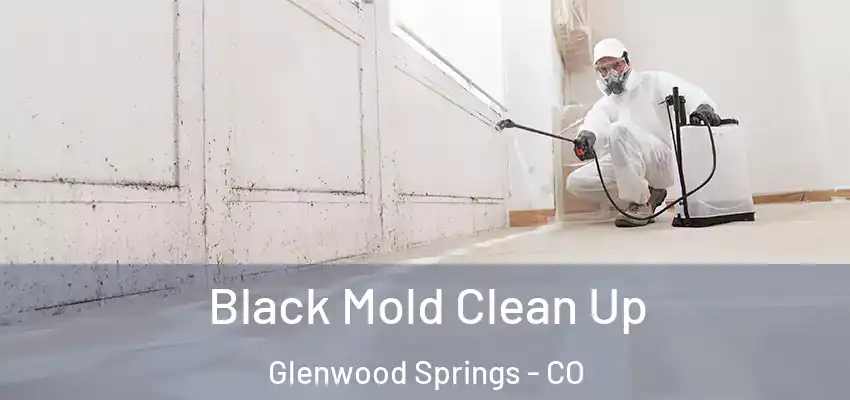  Black Mold Clean Up Glenwood Springs - CO