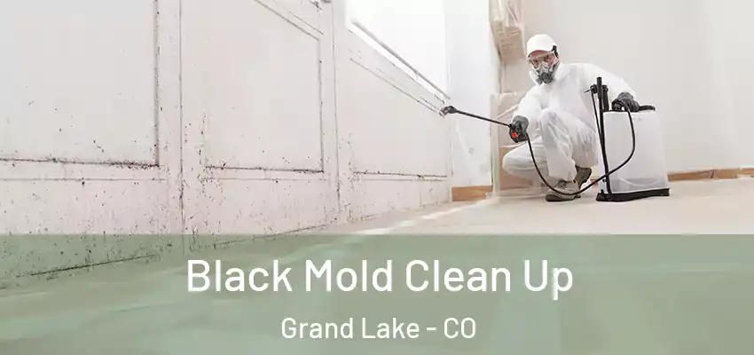  Black Mold Clean Up Grand Lake - CO
