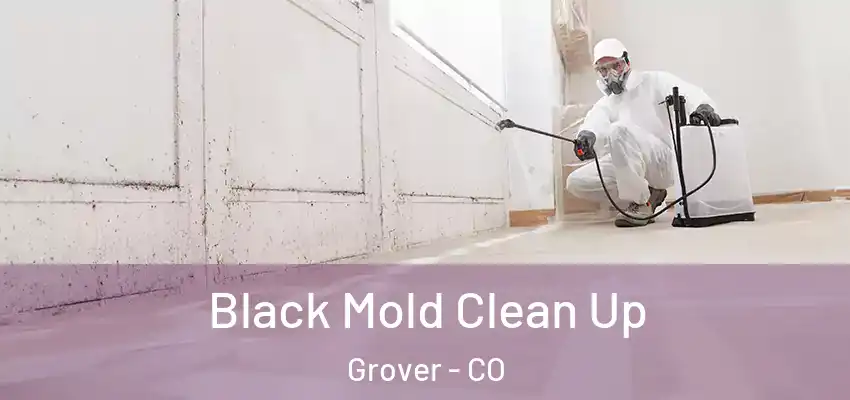 Black Mold Clean Up Grover - CO