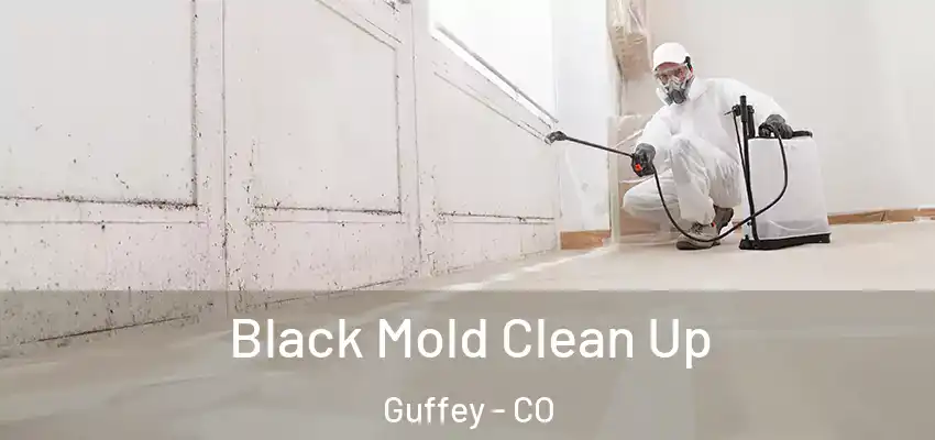 Black Mold Clean Up Guffey - CO