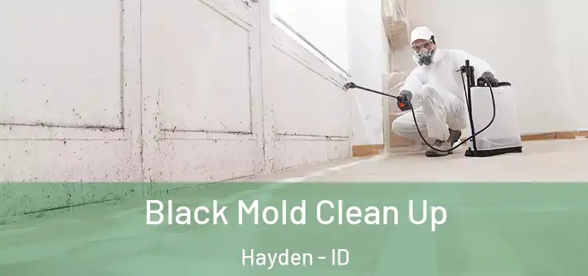  Black Mold Clean Up Hayden - ID