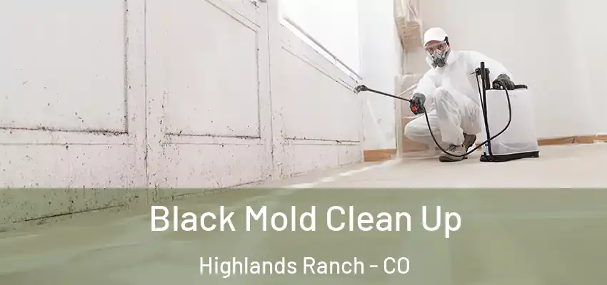  Black Mold Clean Up Highlands Ranch - CO