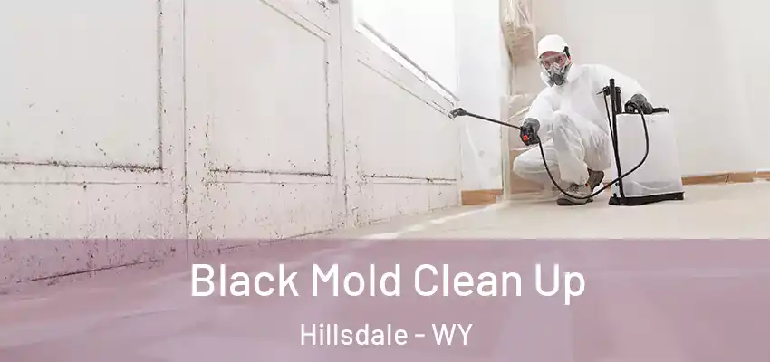  Black Mold Clean Up Hillsdale - WY