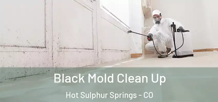  Black Mold Clean Up Hot Sulphur Springs - CO
