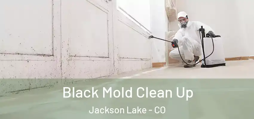  Black Mold Clean Up Jackson Lake - CO