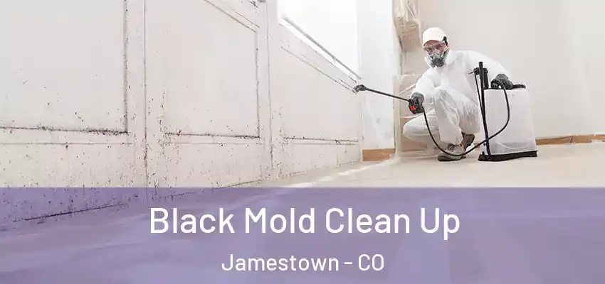 Black Mold Clean Up Jamestown - CO