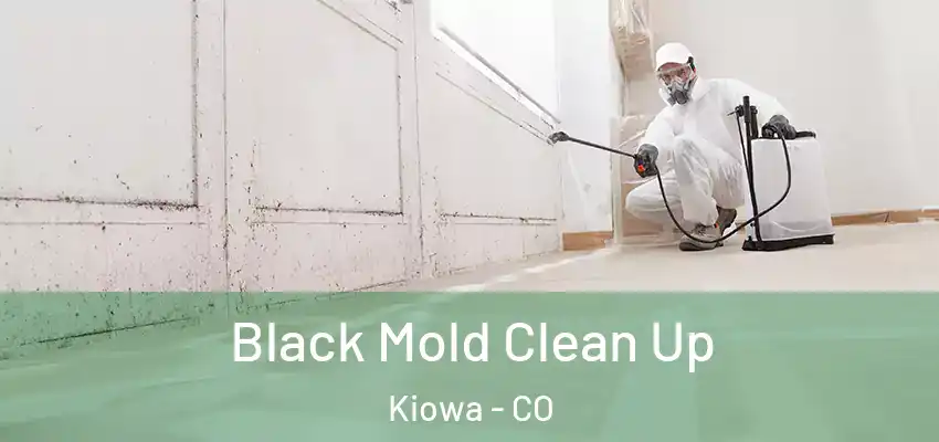  Black Mold Clean Up Kiowa - CO