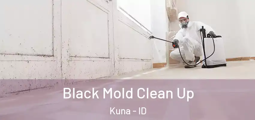 Black Mold Clean Up Kuna - ID