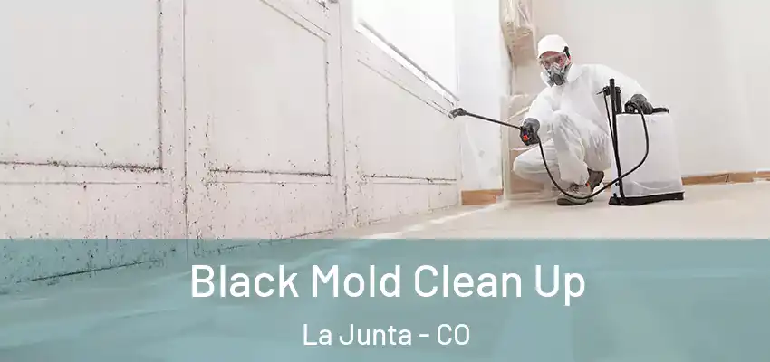  Black Mold Clean Up La Junta - CO