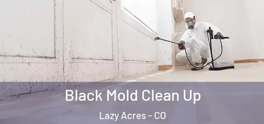 Black Mold Clean Up Lazy Acres - CO