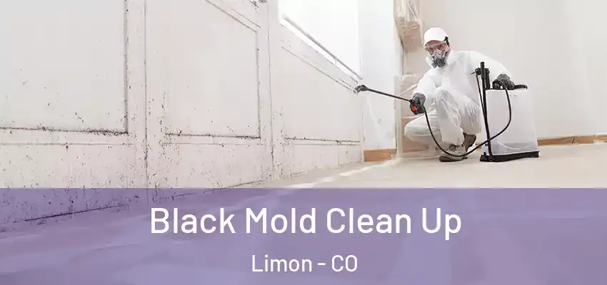 Black Mold Clean Up Limon - CO