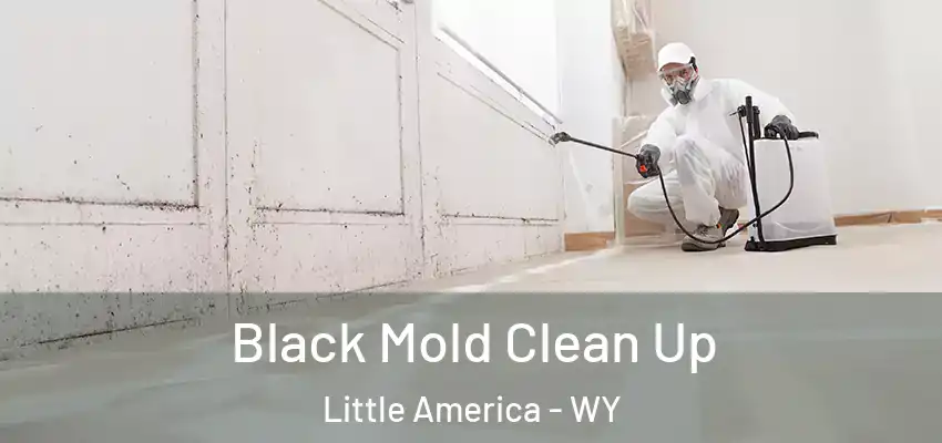  Black Mold Clean Up Little America - WY
