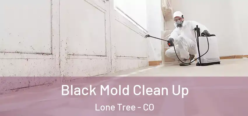  Black Mold Clean Up Lone Tree - CO